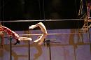 vertige du papillon 047 * 3504 x 2336 * (4.05MB)